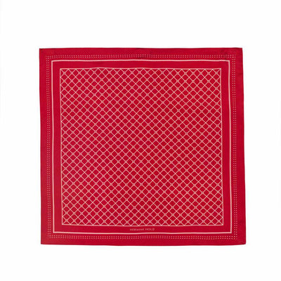 Hermine Silk Scarf - Red & Pink - Hermine Hold